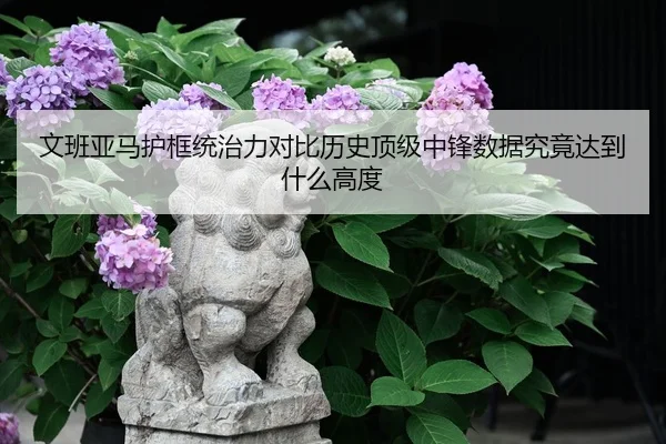 文班亚马护框统治力对比历史顶级中锋数据究竟达到什么高度