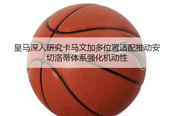 img_1783043406035_3281_1_223.jpg